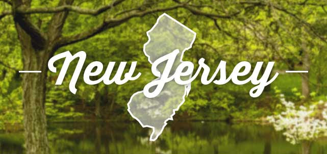 new jersey state on background